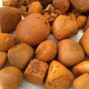 Ox Gallstone